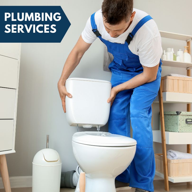Plumbing Company in Nachusa, IL